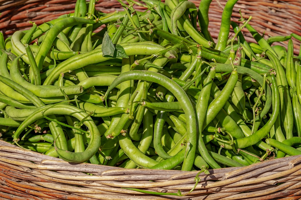 なた豆の口臭に対する効果とは？