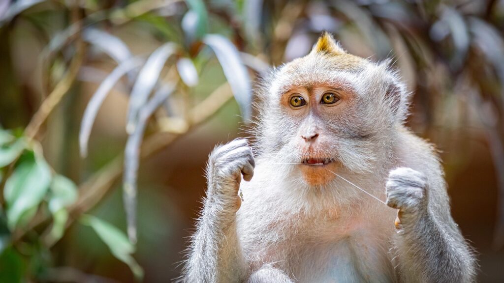 デンタルフロスを使った口臭対策の効果は？