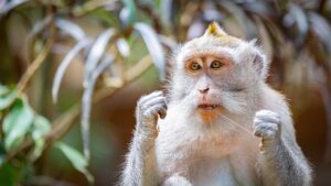 デンタルフロスを使った口臭対策の効果は？