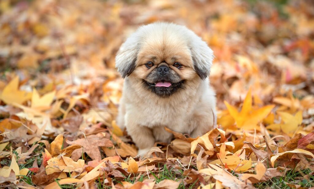 ブレスマイルの口臭対策に関する口コミはどうなの？