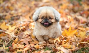 何をすれば口臭予防に効果的なのか？