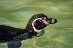 口臭対策に効果的なケアグッズはどれ？