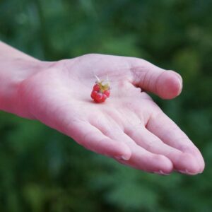 抗菌で口臭を予防するための効果的な方法は？