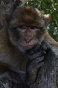 中年の臭いを効果的に予防する方法は？