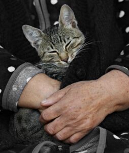 40代男性のための口臭対策にはどんな方法がある？