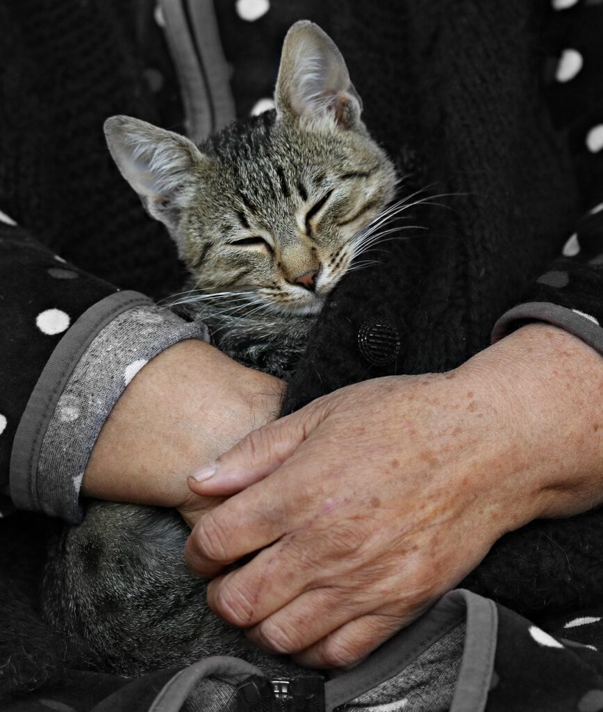 40代男性のための口臭対策にはどんな方法がある？