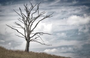 中年の口臭とドライマウスを改善する方法は？