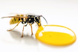 中年の口臭は飲酒をやめたら本当に改善するの？